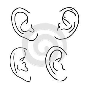 Drawing human ear. ear vector sketch on a white background