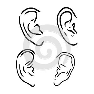 Drawing human ear. ear vector sketch on a white background