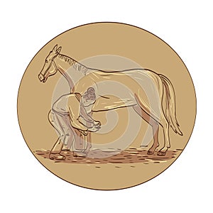 Female Farrier Placing Horseshoe on Horse Hoof Horseshoe Side View in Circle Drawing photo