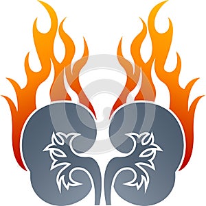 Drawing of kidney flame logo