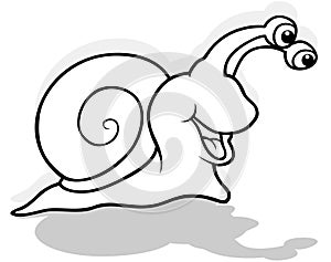 Drawing of a Laughing Snail from Profile