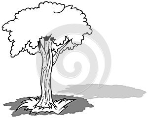 Drawing of a Leafy Tree Standing in the Grass