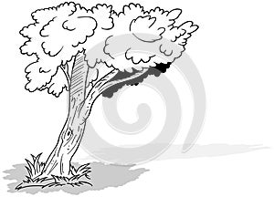 Drawing of a Leafy Tree Standing in the Grass