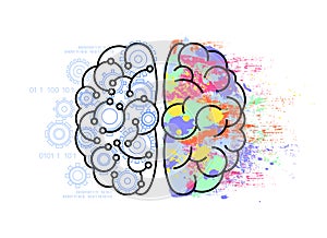 Drawing left and right side of brain