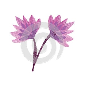 drawing lily flower ornate image