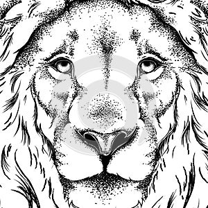 Drawing of a lion`s head. Graphic design of the cover. Template for registration. Vector illustration