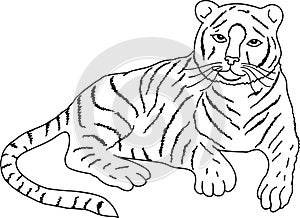Drawing of lying tiger, vector