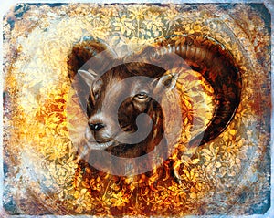 Drawing of male wild sheep with mighty horns on flower background.