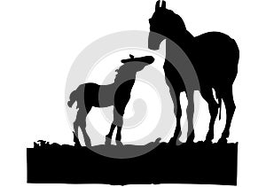 Drawing of mare and foal with white background illustration