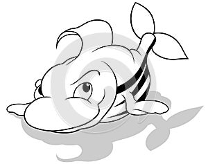 Drawing of a Marine Striped Fish Lying on its Belly