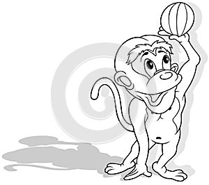 Drawing of Monkey Holds a Beach Ball in its Paw