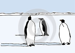 Drawing of penguins in Antartica