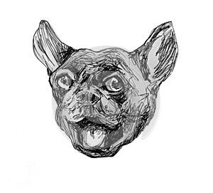 Favorite pet. French bulldog smiles.Ink drawing. photo