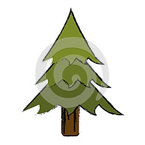 Kreslení borovice strom les kempování ikona 