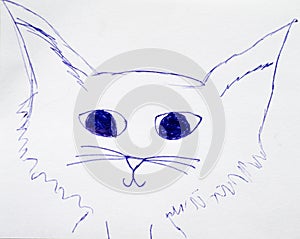 Drawing portrait of cat. Pen hand drawing.