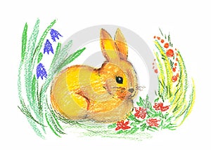 Drawing of rabbit