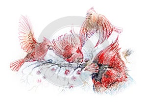 Drawing of red birds on branches