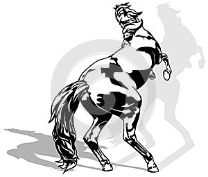 Drawing of Rising Horse on a Hind Legs from Rear View