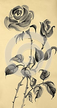 Drawing of a rose on a beige background