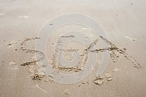 A drawing an in the sand on beach