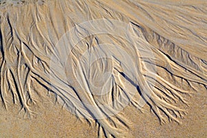Drawing on the sand made by a stream.