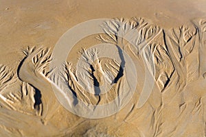 Drawing on the sand made by a stream.