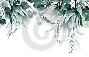 watercolor drawing. seamless border with tropical flowers and leaves. protea flowers and eucalyptus leaves