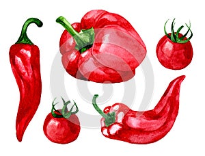 watercolor drawing. set of red vegetables. bell pepper, chili pepper, cherry tomatoes
