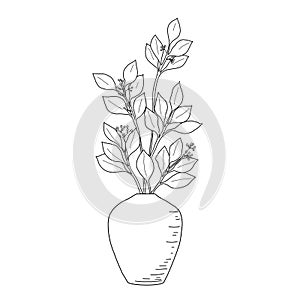 Drawing shrub branches with berries in a decorative vase, hand-drawn, linart