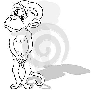 Drawing of a Shy Monkey Standing on Two Legs