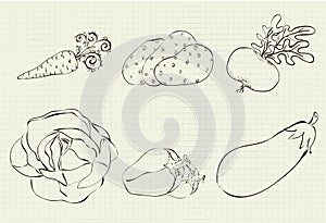 Drawing of six vegetables on a sheet of student notebooks