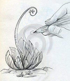 Drawing a sketch of a plant