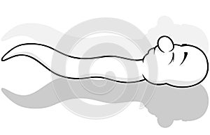 Drawing of a Sleeping Worm on the Ground