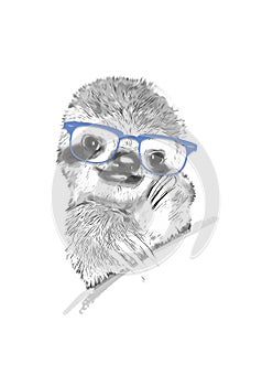 Drawing of sloth with blue glasses