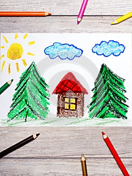 Drawing: small house surrounded by coniferous trees
