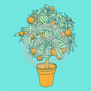 Drawing of a small tangerine tree in a pot in contour style.