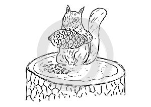 Drawing of squirrel eating with white background