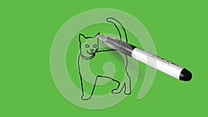 Drawing a standing cat in black,brown,pink and grey colour combination on abstract green background