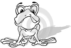 Drawing of a startled frog from Front View