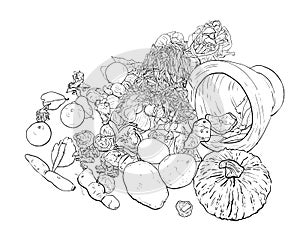 Drawing still life of food and vegetable.