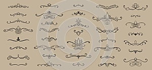 Drawing swirls, curls and scrolls set. Calligraphic design elements. Hand drawn ink vintage decoration for wedding