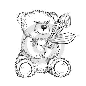 Drawing Teddy Bear with flower photo