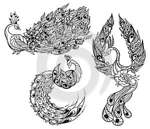 Drawing of three mythical swans