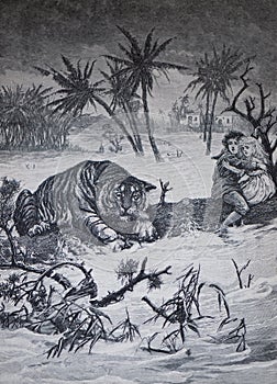 Drawing a tiger and children in peril