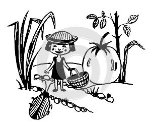 Drawing of a tiny fairy girl with a basket walking in the garden with huge tomatoes sketch, hand-drawn comi