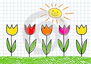 Drawing of tulips