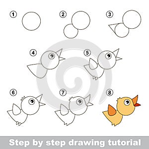 Drawing tutorial. How to draw a Bird photo