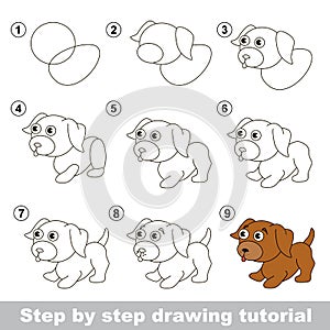 Drawing tutorial. How to draw a Little puppy