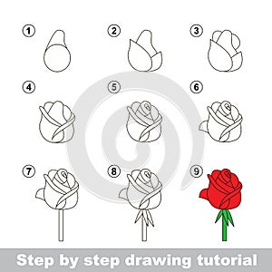 Drawing tutorial. How to draw a Rose photo