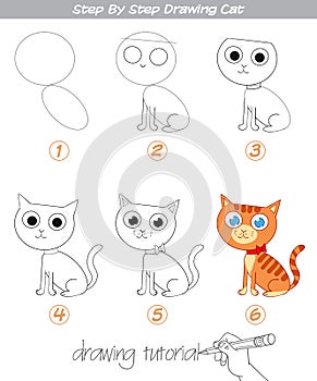 Drawing tutorial. Step by step drawing Cat